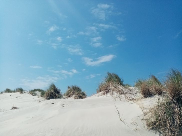 Amrum