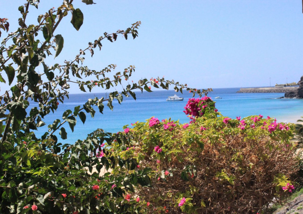 Bild von Fuerteventura, die Insel des Windes